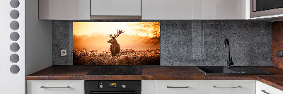 Panel lacobel Jeleń wschód słońca