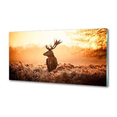 Panel lacobel Jeleń wschód słońca