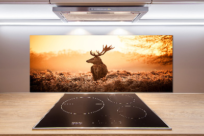 Panel lacobel Jeleń wschód słońca