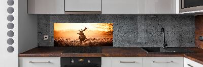 Panel lacobel Jeleń wschód słońca