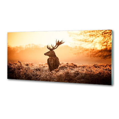 Panel lacobel Jeleń wschód słońca