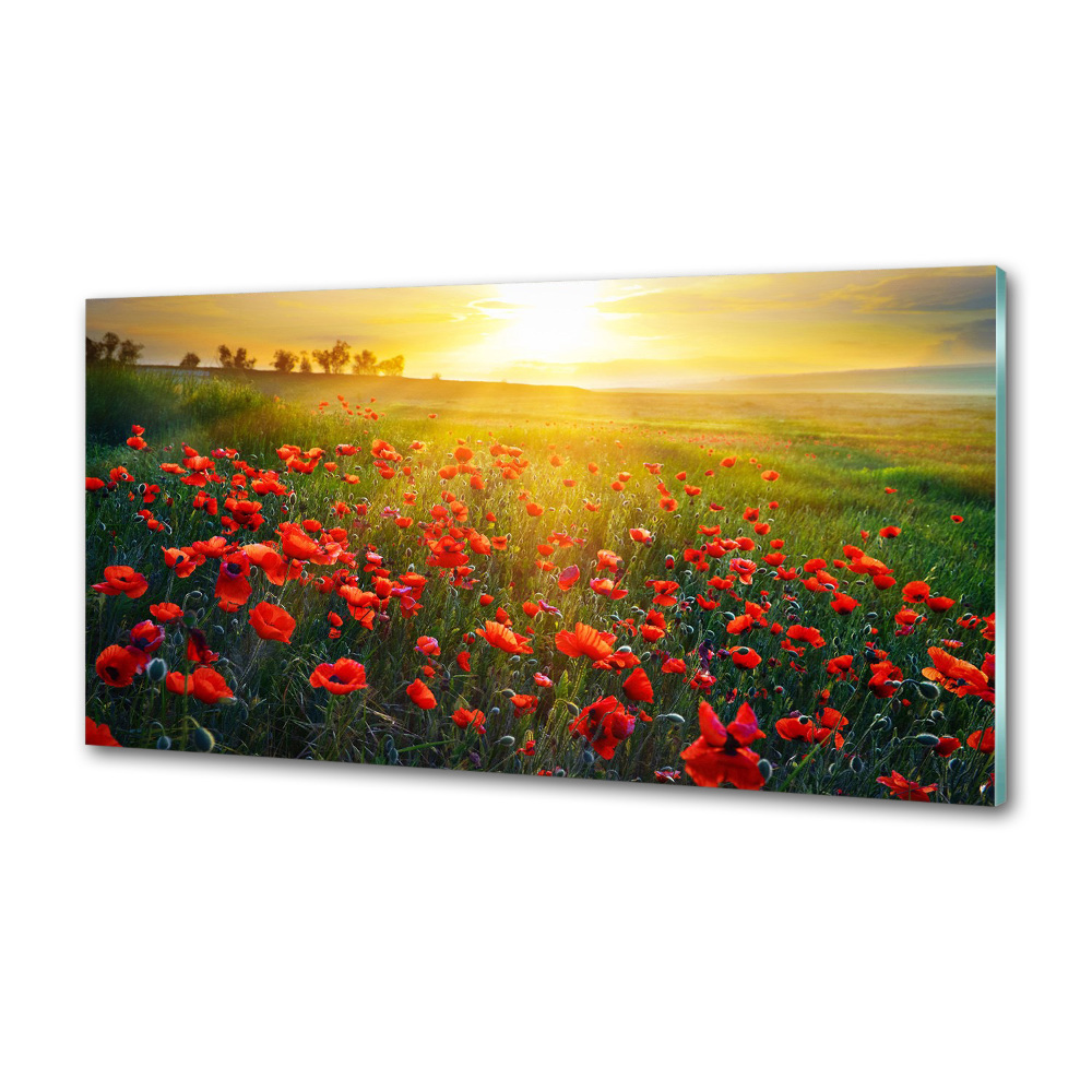 Panel dekor szkło Pole maków