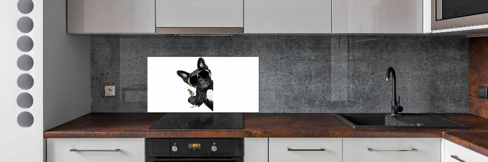 Panel do kuchni Pies z martini