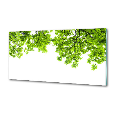 Panel dekor szkło Liście dębu