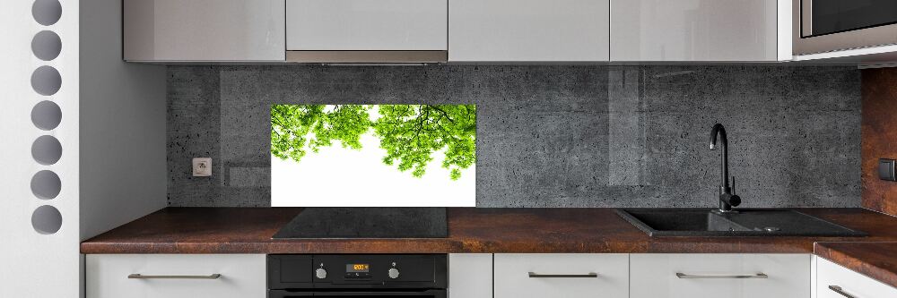 Panel dekor szkło Liście dębu
