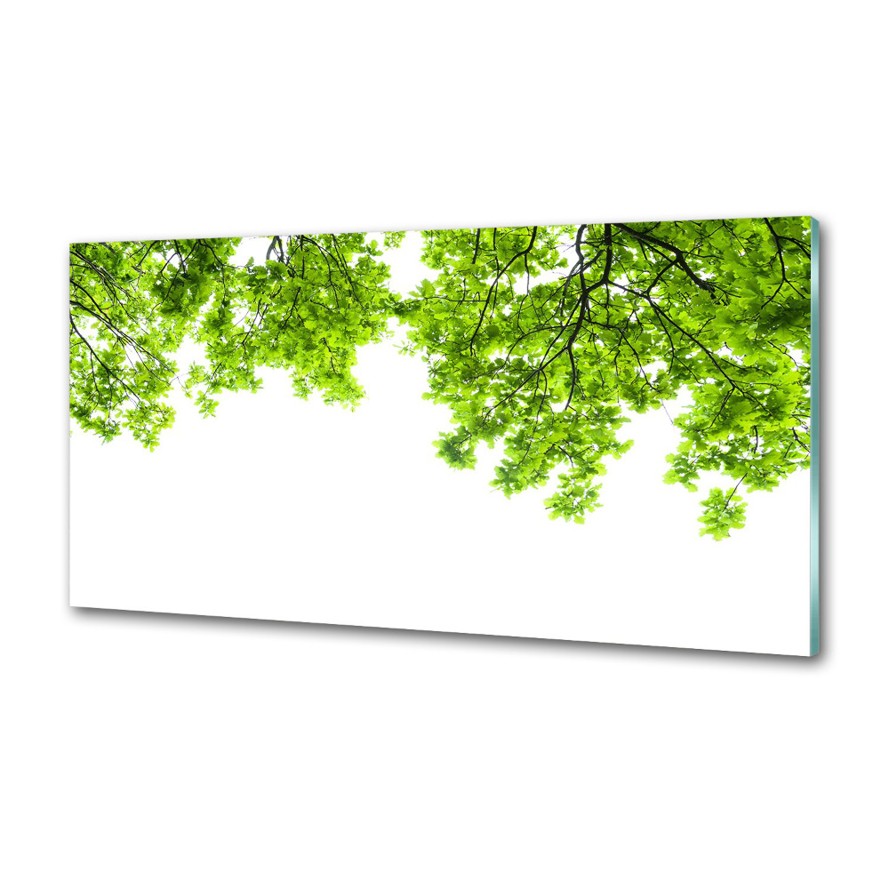 Panel dekor szkło Liście dębu