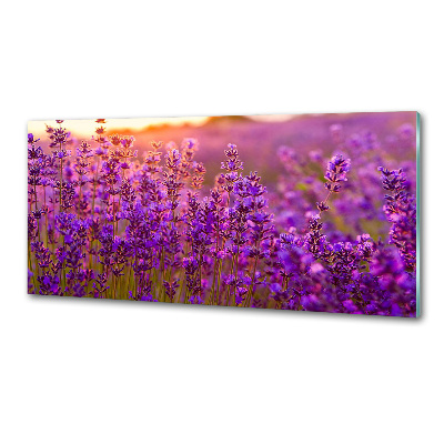 Panel dekor szkło Pole lawendy