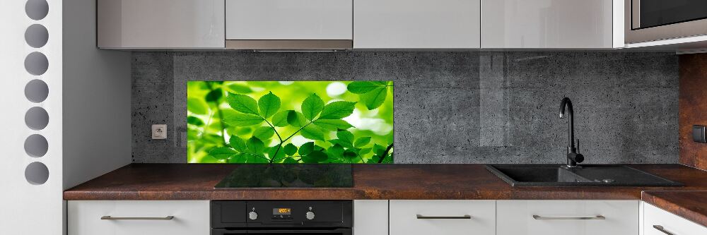 Panel do kuchni Zielone liście