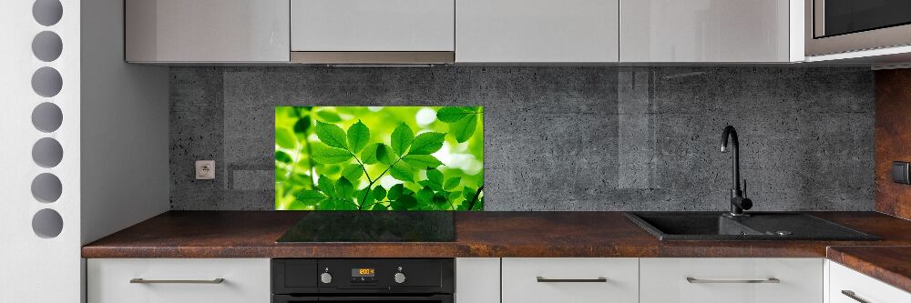 Panel do kuchni Zielone liście