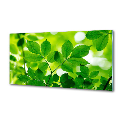 Panel do kuchni Zielone liście