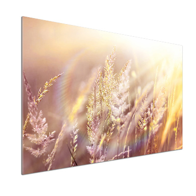Panel dekor szkło Wysoka trawa