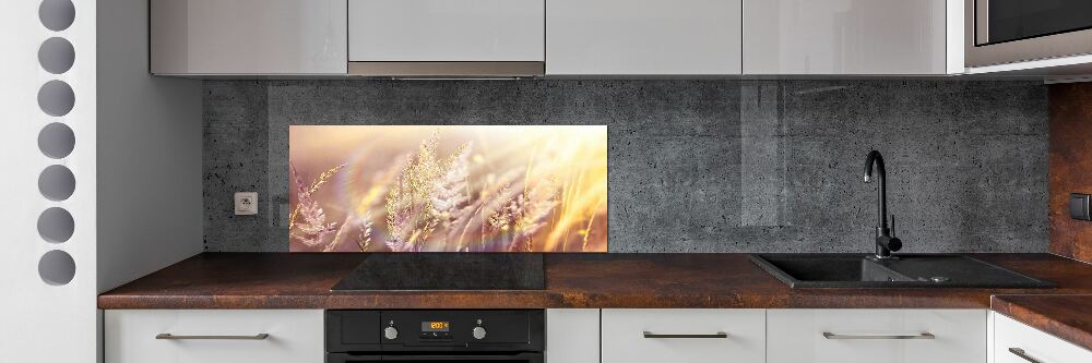 Panel dekor szkło Wysoka trawa