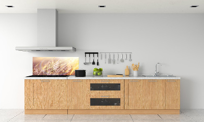Panel dekor szkło Wysoka trawa