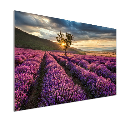 Panel dekor szkło Pole lawendy
