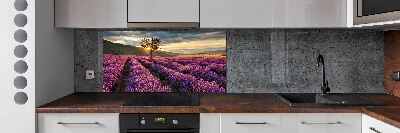 Panel dekor szkło Pole lawendy
