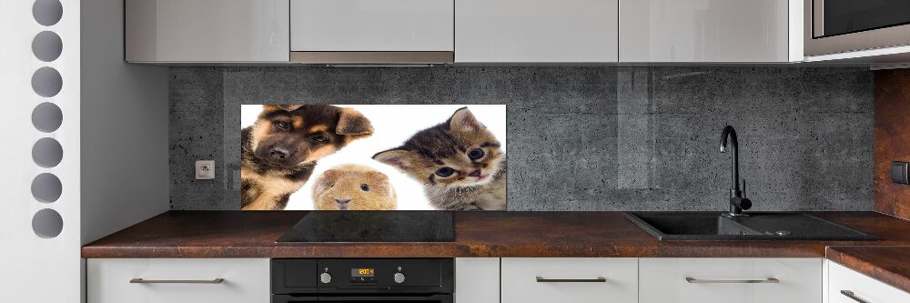 Panel do kuchni Zwierzęta domowe