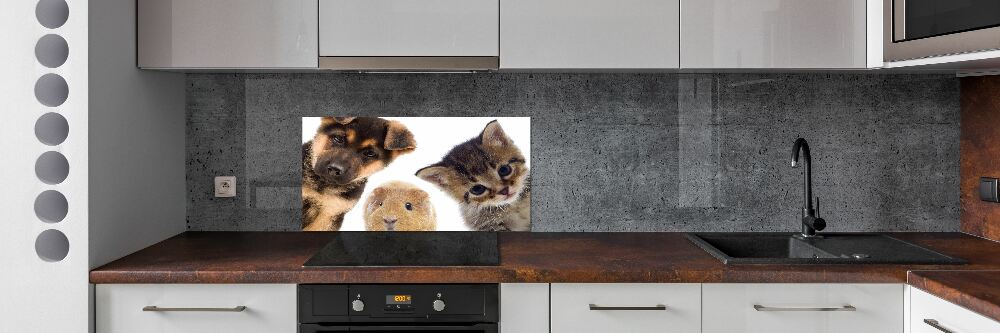 Panel do kuchni Zwierzęta domowe