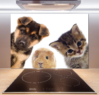 Panel do kuchni Zwierzęta domowe