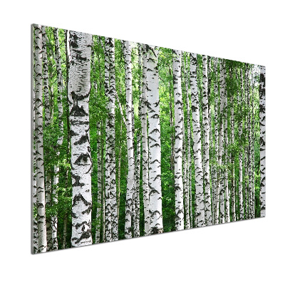 Panel szklany do kuchni Brzozy