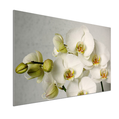 Panel do kuchni Biała orchidea