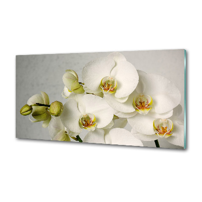 Panel do kuchni Biała orchidea