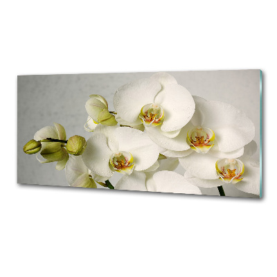 Panel do kuchni Biała orchidea