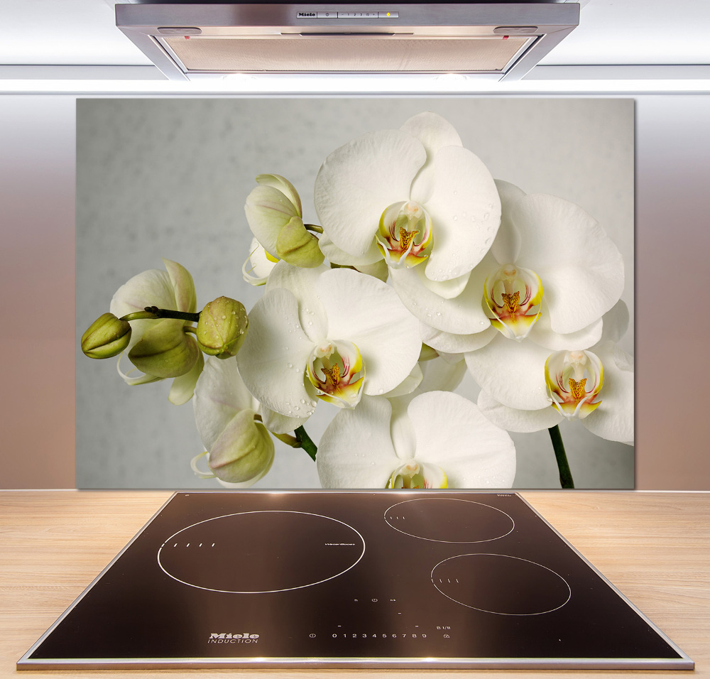 Panel do kuchni Biała orchidea