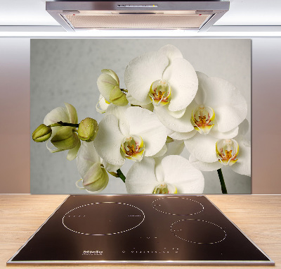 Panel do kuchni Biała orchidea