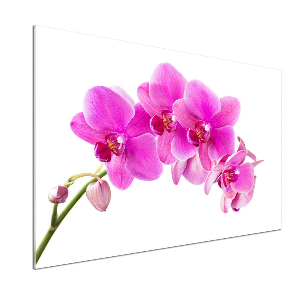 Panel do kuchni Różowa orchidea