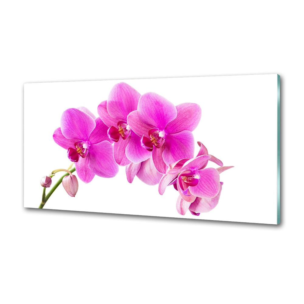 Panel do kuchni Różowa orchidea