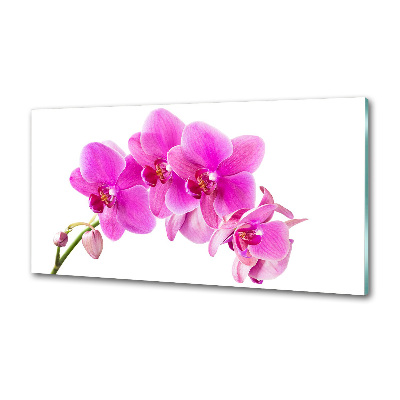 Panel do kuchni Różowa orchidea