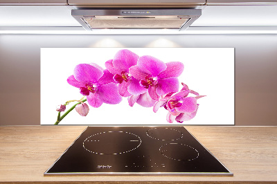 Panel do kuchni Różowa orchidea