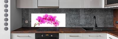 Panel do kuchni Różowa orchidea