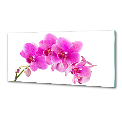 Panel do kuchni Różowa orchidea
