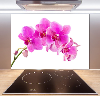 Panel do kuchni Różowa orchidea