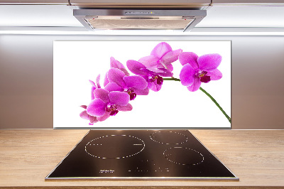Panel do kuchni Różowa orchidea