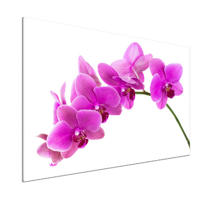 Panel do kuchni Różowa orchidea