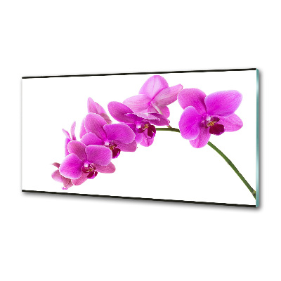 Panel do kuchni Różowa orchidea
