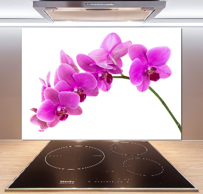 Panel do kuchni Różowa orchidea