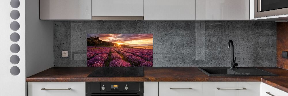Panel dekor szkło Pole lawendy