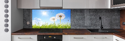 Panel między meble w kuchni Dmuchawce