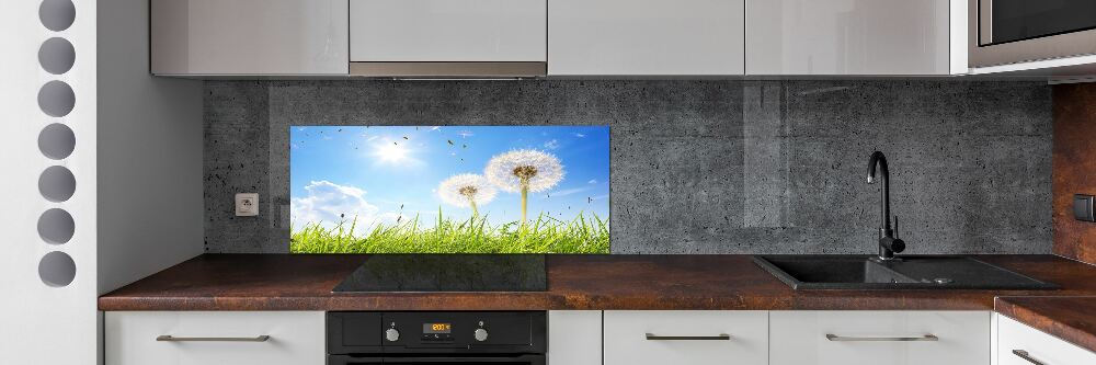 Panel między meble w kuchni Dmuchawce