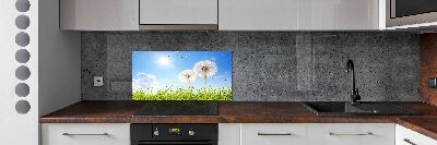 Panel między meble w kuchni Dmuchawce