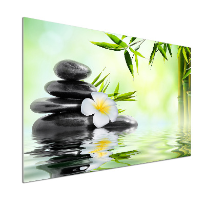 Panel do kuchni Plumeria i bambus