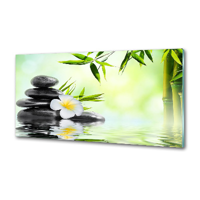 Panel do kuchni Plumeria i bambus