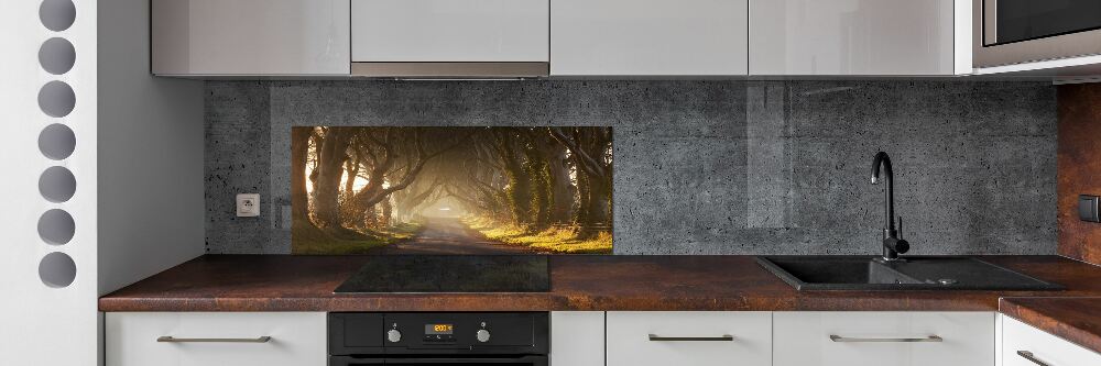 Panel dekor szkło Mgła w lesie