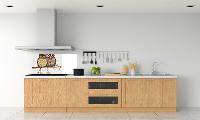 Panel lacobel Dwie sowy na gałęzi