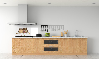 Panel lacobel Dwie sowy na gałęzi