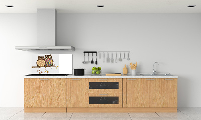Panel lacobel Dwie sowy na gałęzi
