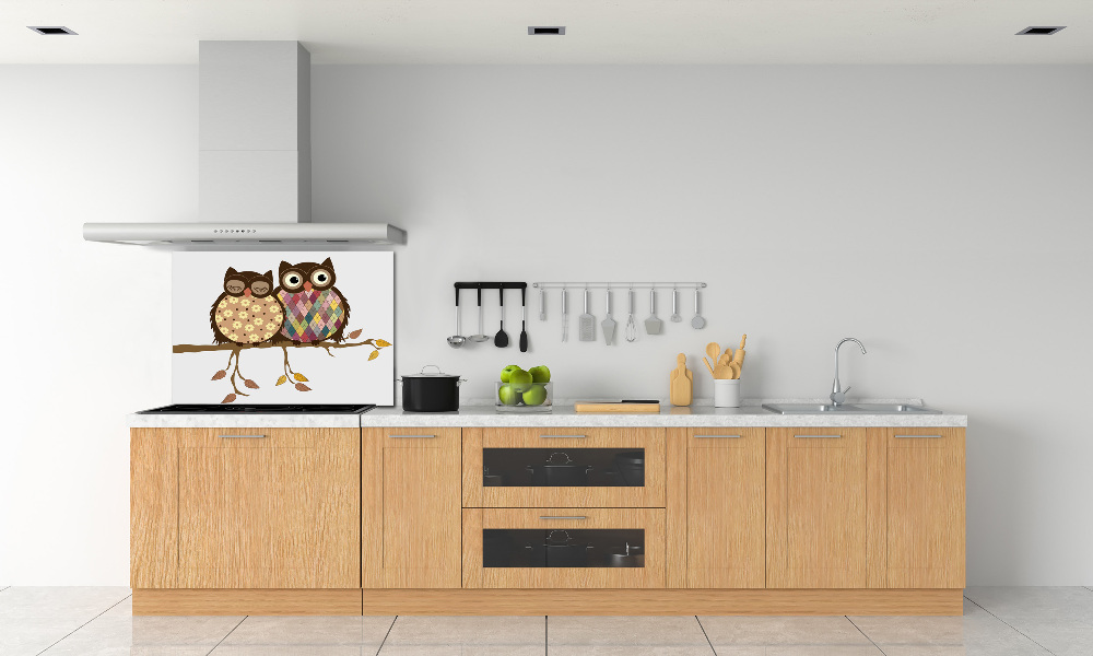 Panel lacobel Dwie sowy na gałęzi